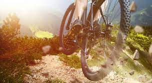 mountain bike training for beginners