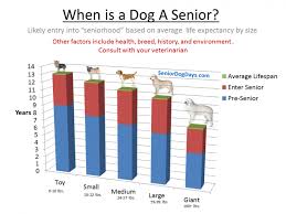 What Is Considered Old For A Dog Lifespan Chart