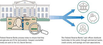The Fed - Money and Payments: The U.S. Dollar in the Age of Digital  Transformation