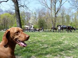 As one of the world's largest urban public parks, it features a chinese pagoda, a monopteros greek temple, a river and a boating lake. Mit Hund Im Englischen Garten In Munchen Tierischer Urlaub Com