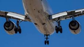 Can a plane land without flaps?