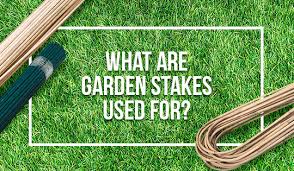 What Are Garden Stakes Used For All