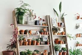 wooden ladder bookshelf for plants