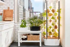 the 11 best indoor garden systems of 2023
