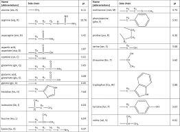 13 1 Amino Acids Chemistry Libretexts
