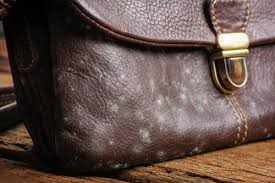 removing mildew from leather thriftyfun