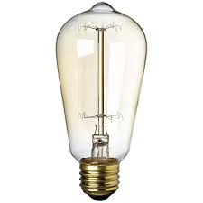 60 Watt Edison Style Decorative Light Bulb 6t563 Lamps Plus