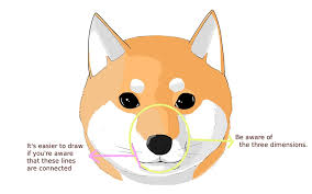 how to draw a dog 1 how to draw a