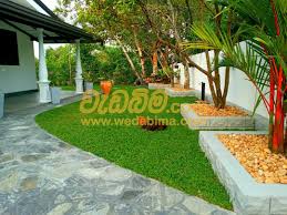 landscaping contractors in srilanka