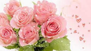 pink rose pictures free