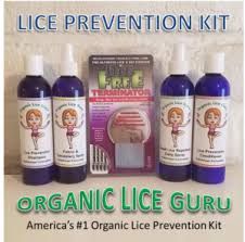 lice treatment s organic lice