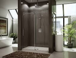 Glass Shower Door