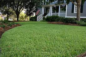 Water your grass during the early morning hours to minimize evaporation. Empire Turf Zoysia Lawson Turf