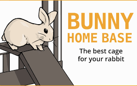 the best cage for house rabbits it s