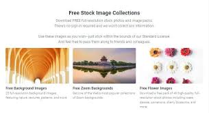 is shutterstock free 7 common