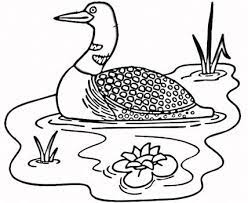 Pick your favorite color and start coloring! Loon In The Lake Free Printable Coloring Pages Coloring Pages Printable Coloring Pages