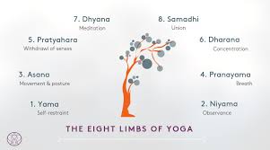 the 8 limbs of yoga explained yoga