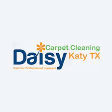 12 best katy carpet cleaners