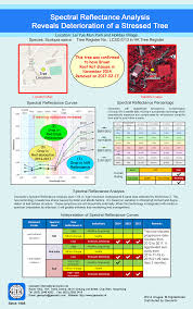 More Illustrated Charts Geocarto International Centre Ltd