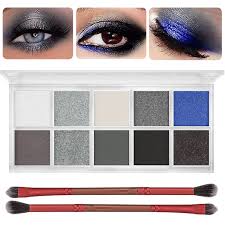pallets kit advanced eyeshadow brush