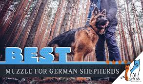6 Best Muzzles For German Shepherds