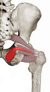 hip pain and the pelvic floor well