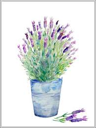 lavender pot painting lavender