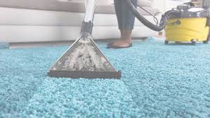 commercial carpet cleaning expert in