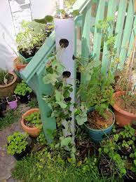 25 Diy Pvc Pipe Garden Ideas Pvc Pipe