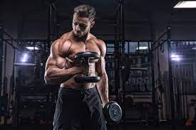 top 20 bodybuilding exercises for every