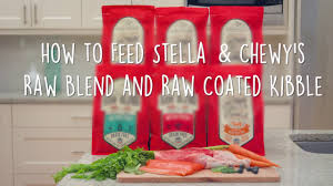 How To Feed Stella Chewys Raw Blend And Raw Coated Kibble Dog Food