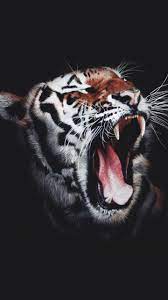 Animals #Roaring Tiger 4K #wallpapers ...