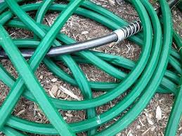 garden hose storage in search of the