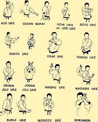 Using a more paced approach, learn how to master this complex yet artful routine. Kihon Sj Karate Sjk Sj Karate Sjk