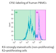 Cfse Staining Kit For Pbmc Staining Biocompare Antibody Review