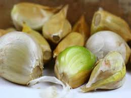 Elephant garlic is larger than regular garlic and has a milder taste. Grow Your Own Elephant Garlic