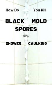 how do you kill black mold spores from