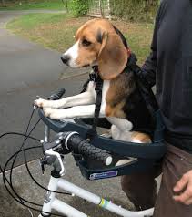 For small pets up to 13 lbs. Dog Bike Carrier 20 Lbs Online