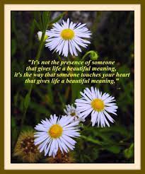 Flowers are one of the most beautiful creations of nature. Motivational Flower Quotes Quotesgram