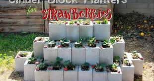 Cinder Block Strawberry Planter