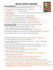 Transcribed image text from this question. Meiosis Worksheetssolutions Pdf Meiosis Review Worksheet Part 1 Vocabulary Answer The Following Question Using The Best Vocabulary Word Diploid 1 A Course Hero