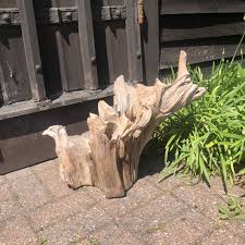 driftwood sculpture 73 with free