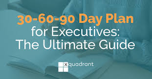 30 60 90 day plan for executives the