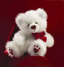 teddy bear good morning good night
