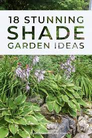 Shade Garden Design Ideas How To
