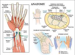 hand and wrist surgery cost in india