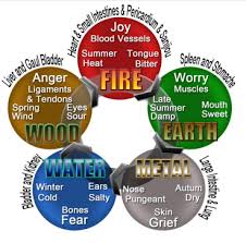 qualities of five elements and human body