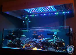 Reef Aquarium Led Light Photos Gallery Orphek Led Lights