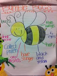 Bee Anchor Chart Also Charts For Praying Mantis Firefly