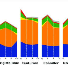 Stacked Area Chart Of The Total Voc Content Of Blueberry